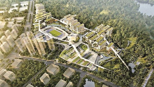 深圳理工大学建设工程项目招标公告 建筑工程标段详解